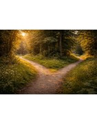 Écorituel® de passage – Réorientation professionnelle