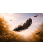 Écorituel® après une interruption de grossesse