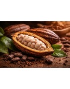 Cérémonie du cacao métropole lilloise